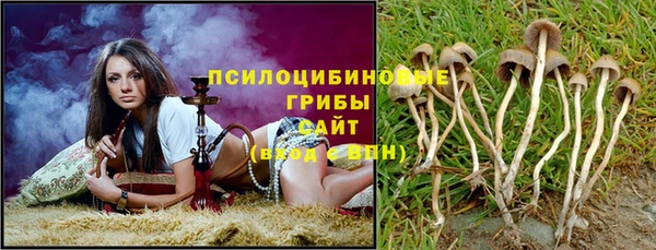 героин Алзамай