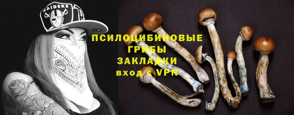 a pvp Алексин